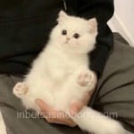 Avatar Joaquín Bravo